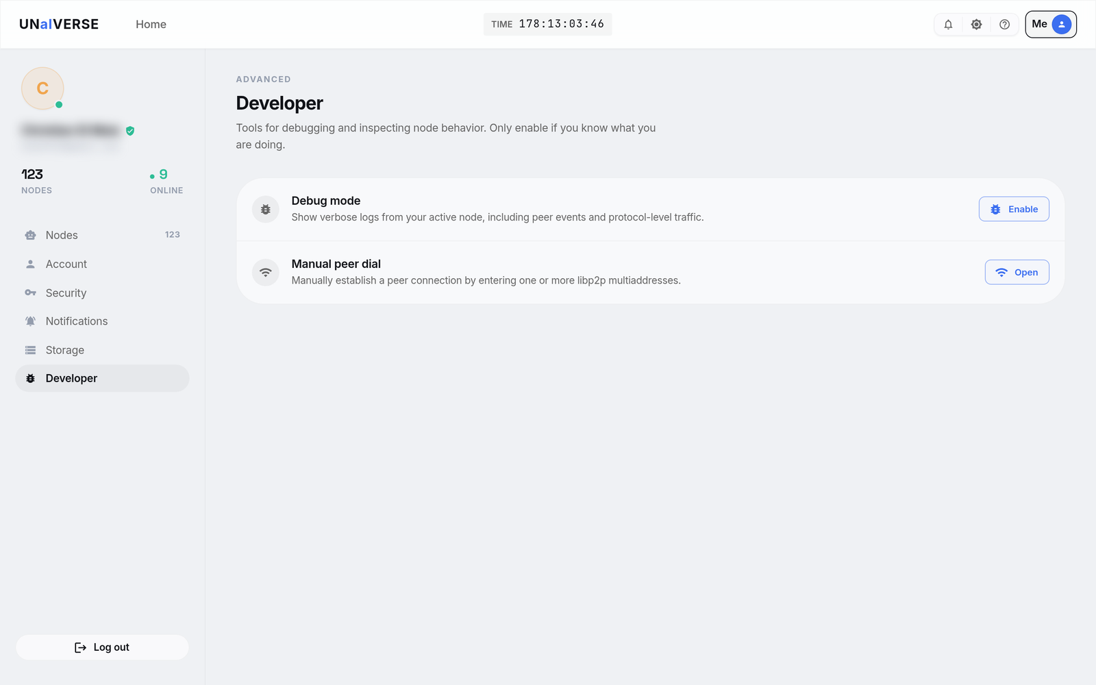 Developer tools: manual peer dial by libp2p multiaddress, and debug mode
